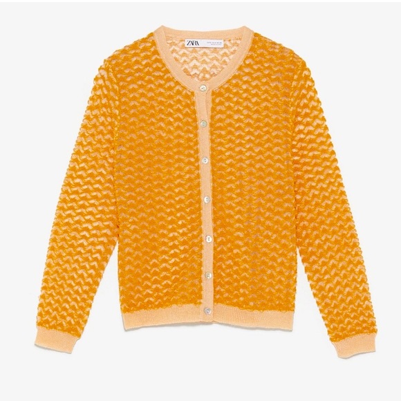 Zara Sweaters - NWT Zara Limited Edition Sheer Needle Point Cardigan